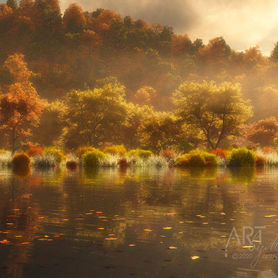 The glorious colors of fall in glowing light. .