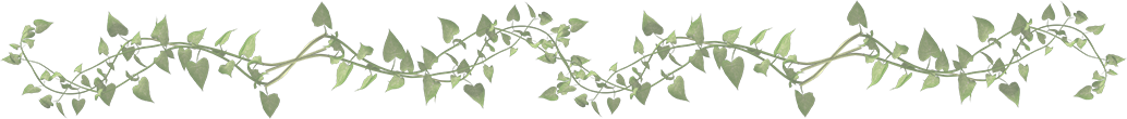 vine divider